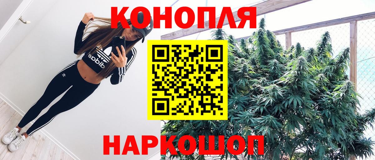 Шишки марихуана марихуана  Марихуана ГИДРОПОН  МАРИХУАНА планчик  Кировск  Вход с VPN 